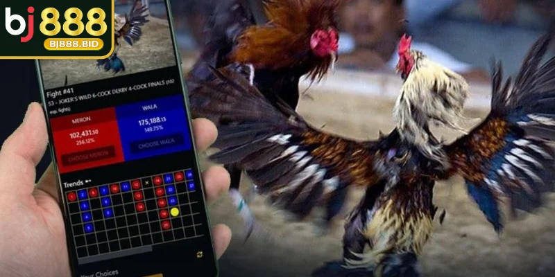 Cách tải app Thomo trên Android