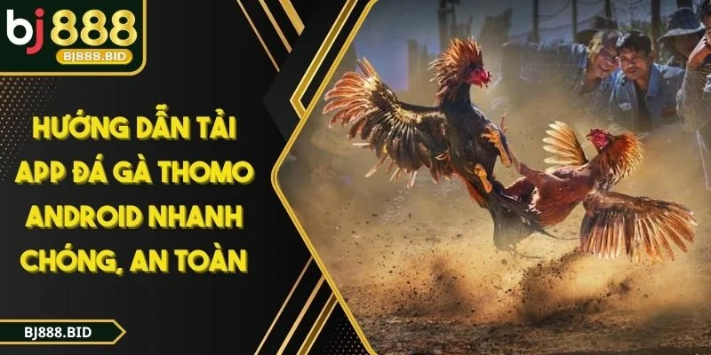 HƯỚNG DẪN TẢI APP ĐÁ GÀ THOMO ANDROID